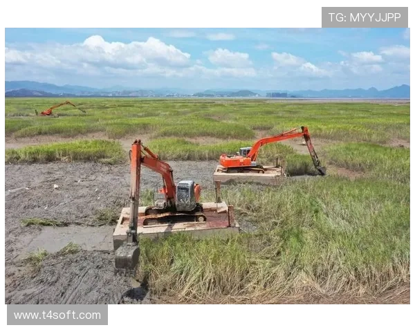 挖掘机滩涂作业履带陷入脱困